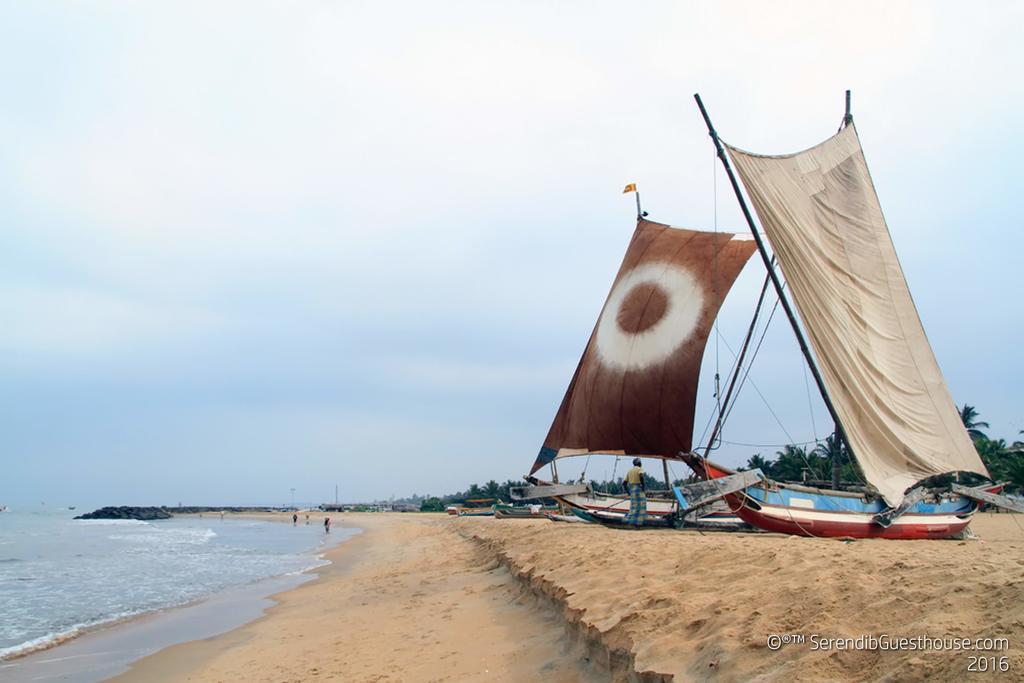 Serendib Guest House Negombo Exterior foto