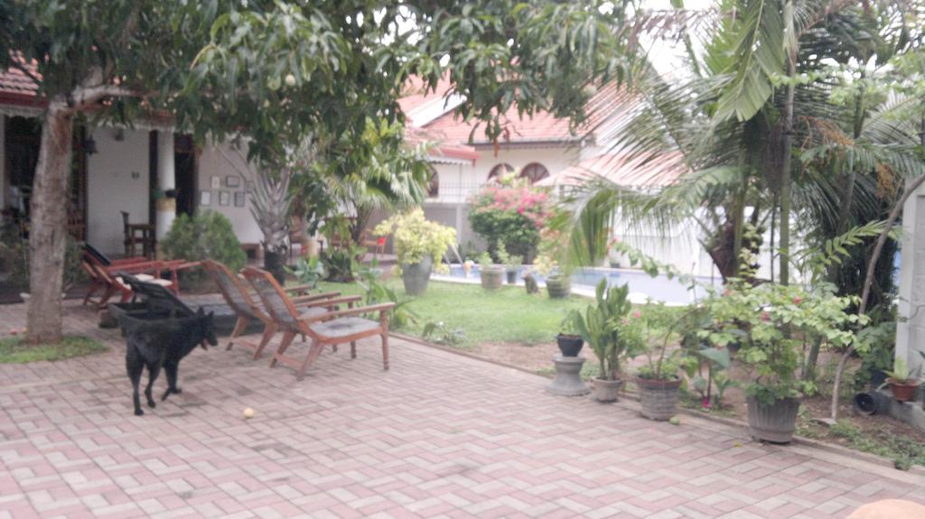 Serendib Guest House Negombo Exterior foto