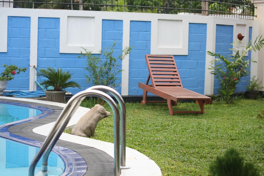Serendib Guest House Negombo Exterior foto